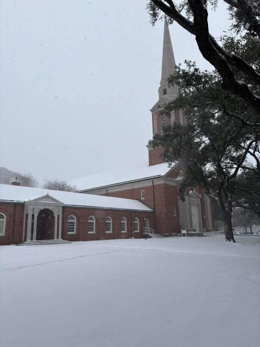 Heather Golden tweet media