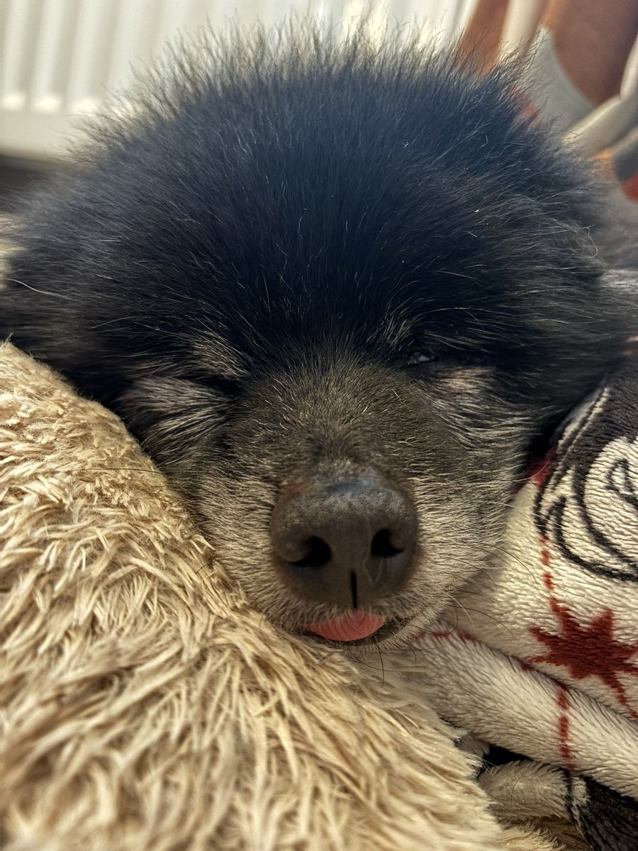 Jack Marsh (@jackkmarsh_) on Twitter photo 