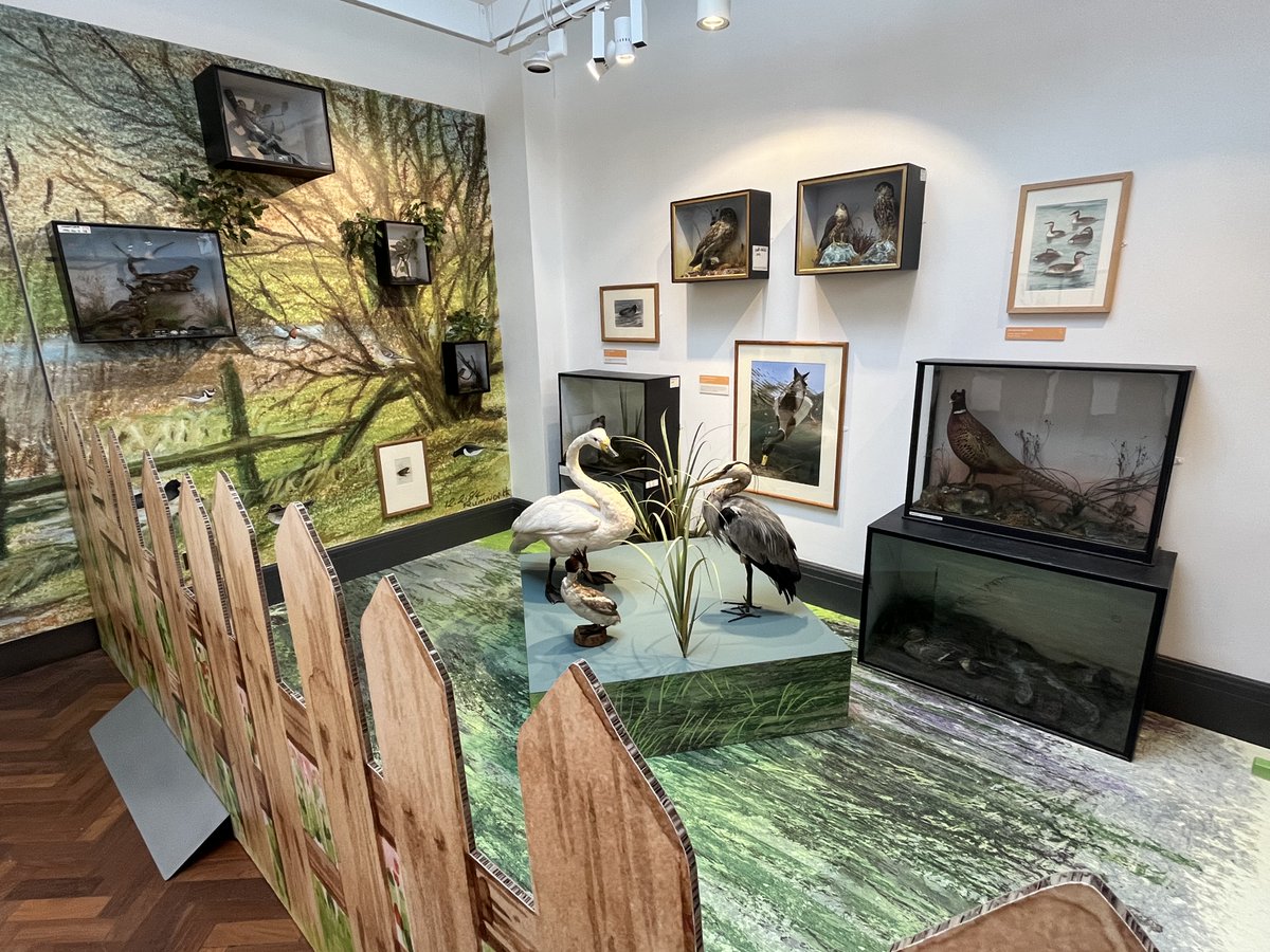 NatSCA (@nat_sca) on Twitter photo Many thanks @Ren_Field87 for the fab new blog out today about a recent exhibition <a href="/BoltonLMS/">Libs and Museums</a> @BoltonLMShttps://natsca.blog/2025/01/23/birds-of-bolton-museum/ Many thanks @Ren_Field87 for the fab new blog out today about a recent exhibition <a href="/BoltonLMS/">Libs and Museums</a> @BoltonLMShttps://natsca.blog/2025/01/23/birds-of-bolton-museum/