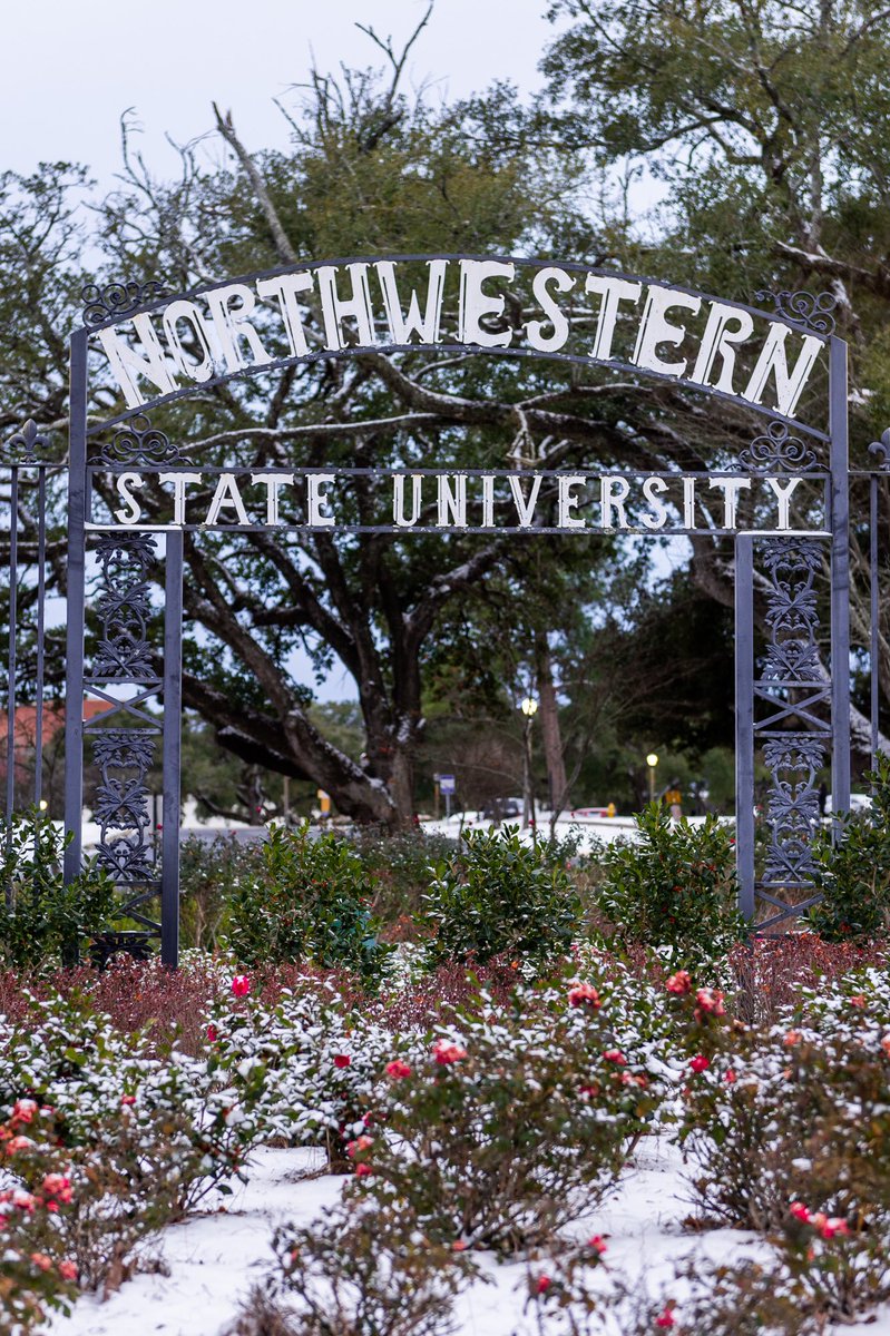 NSU Demons tweet media