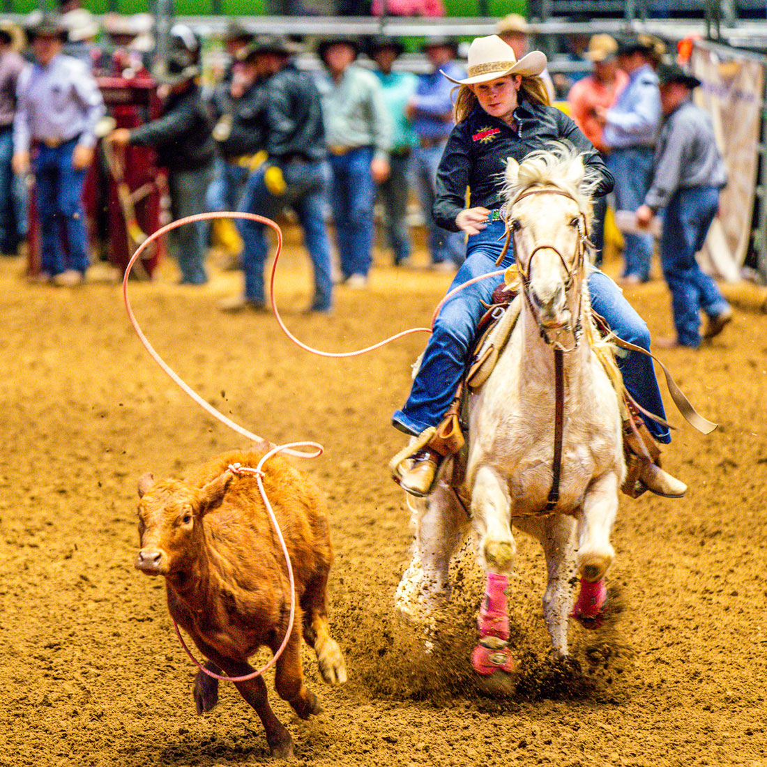 SanAntonioRodeo's tweet photo. The Youth Rodeo is where future champions shine! 🧒🐎 From Feb. 17 -22, Watch young cowboys and cowgirls show off their skills, dedication, and love for the sport in an event that celebrates the future of rodeo. Best of all, this event is FREE with your admission! #100Free
https://t.co/zMTLMP6QE9