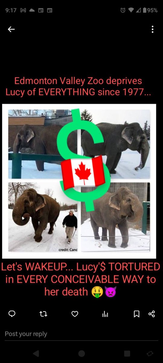 🇨🇦🐘 Edmonton Valley Zoo TORTURE$ Lucy & LIE$ tweet media