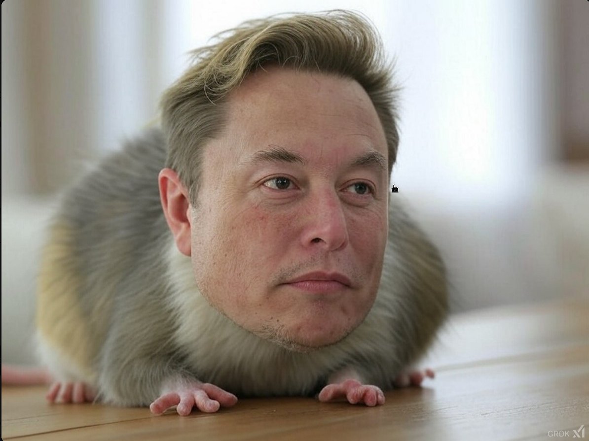 Frederic Pasteleurs tweet media