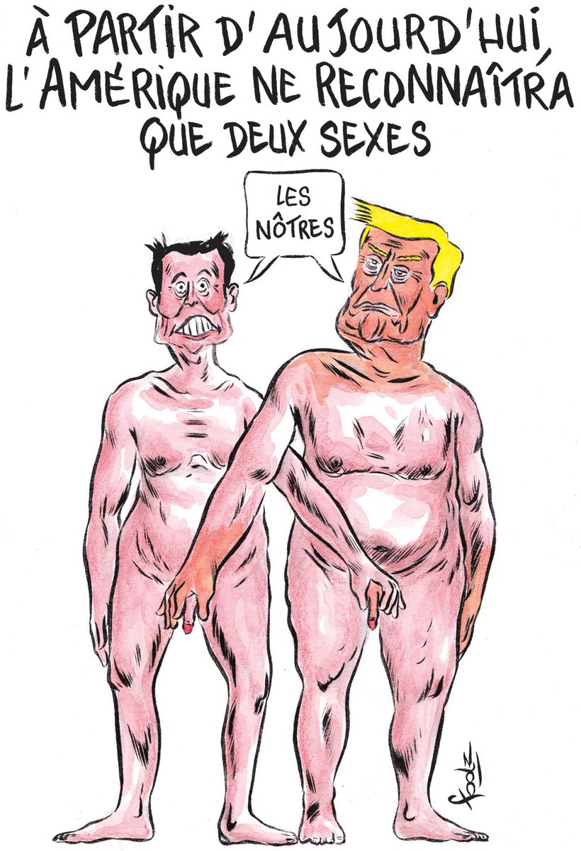 Le dessin du jour, par #Foolz