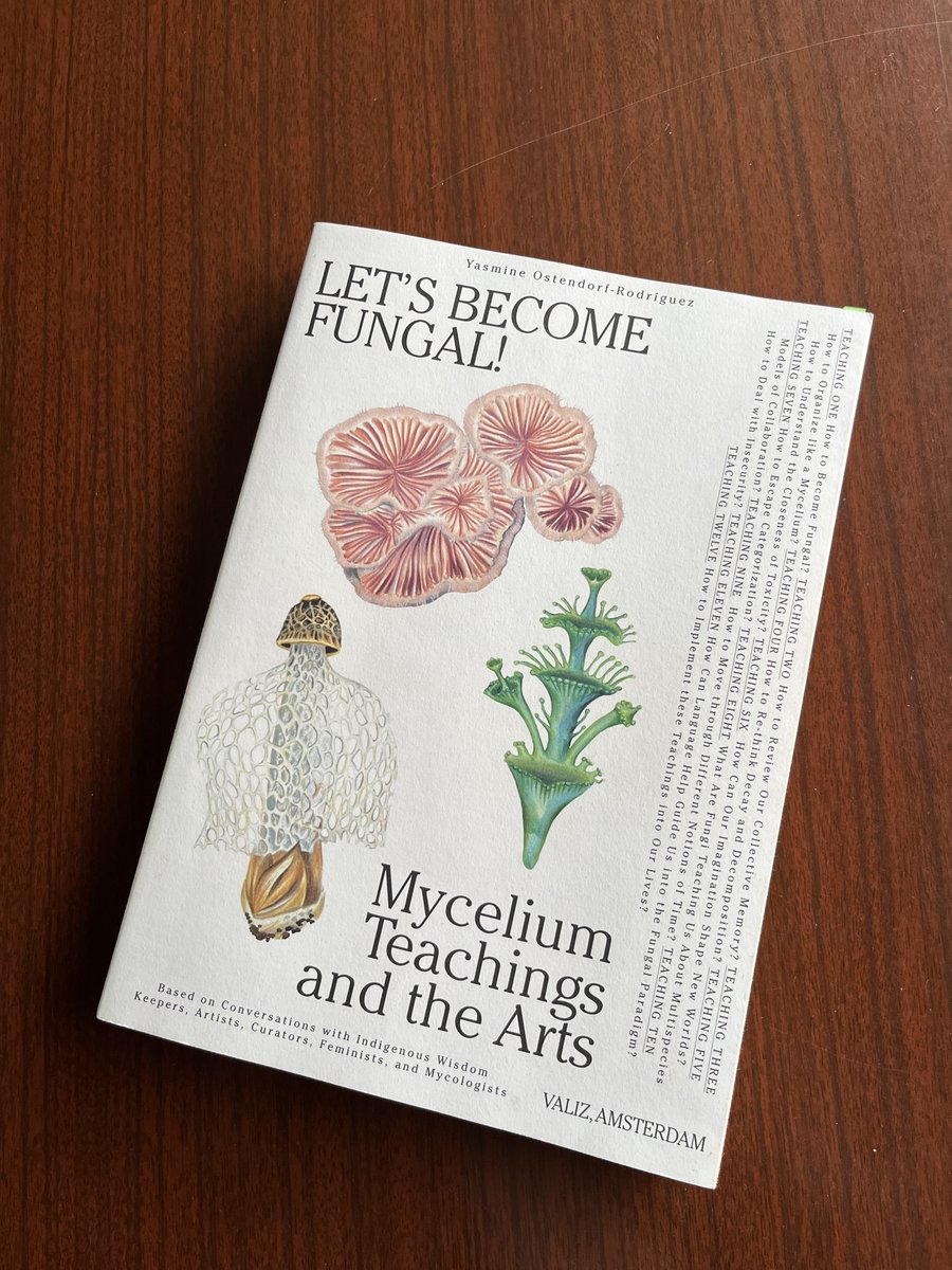 Alejandro Requena-Menéndez tweet media