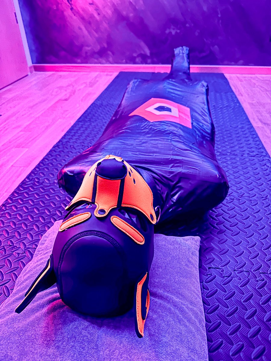 Got to experience my first tape mummy thanks to <a href="/DoggyLinus/">Linus 🔜 Folsom Europe</a> and @pup.diamond789 😇😌
Let’s just say I definitely couldn’t get out on my own 🤣