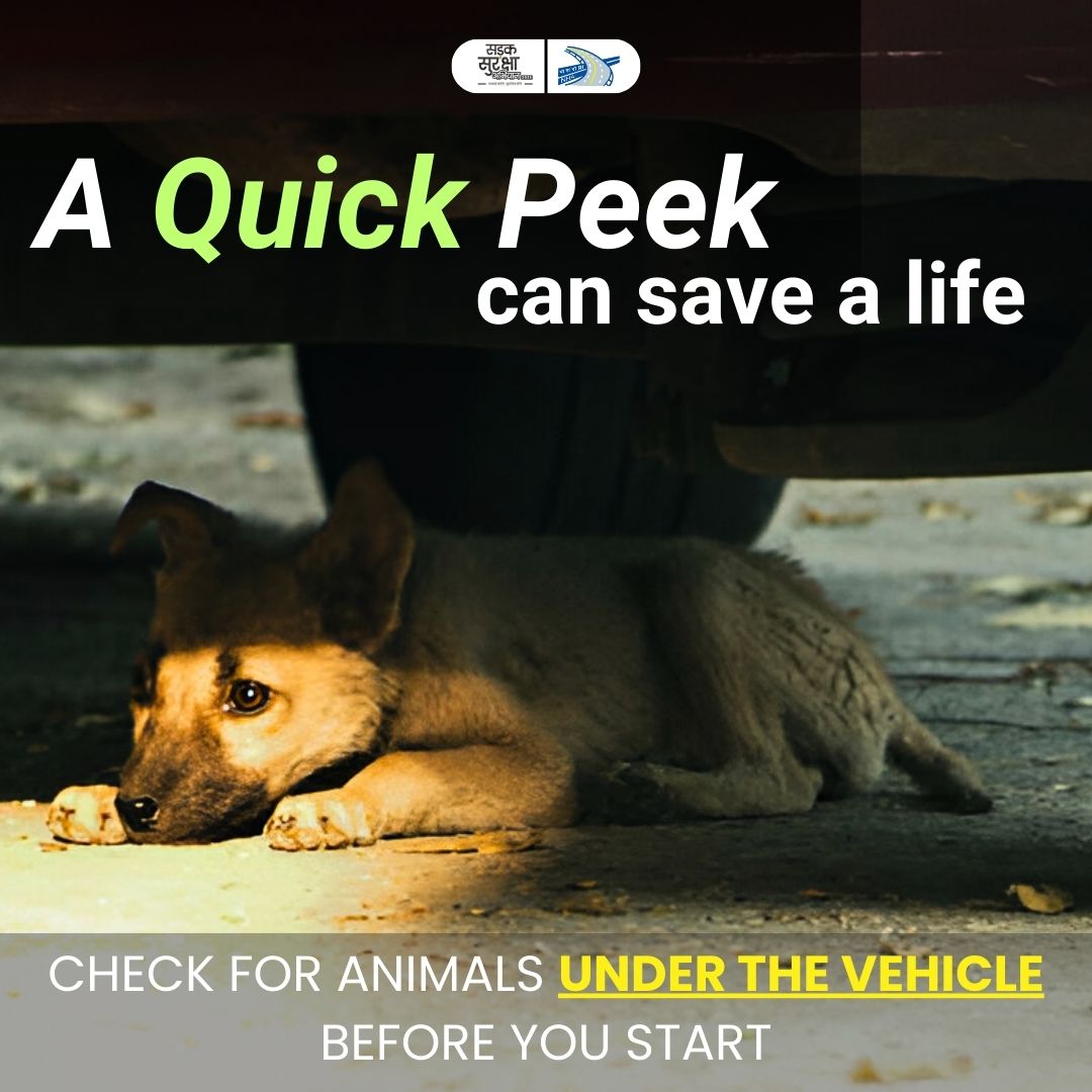 💐🙏 मार्मिक अपील।आप भी दयालुता में शामिल हों।