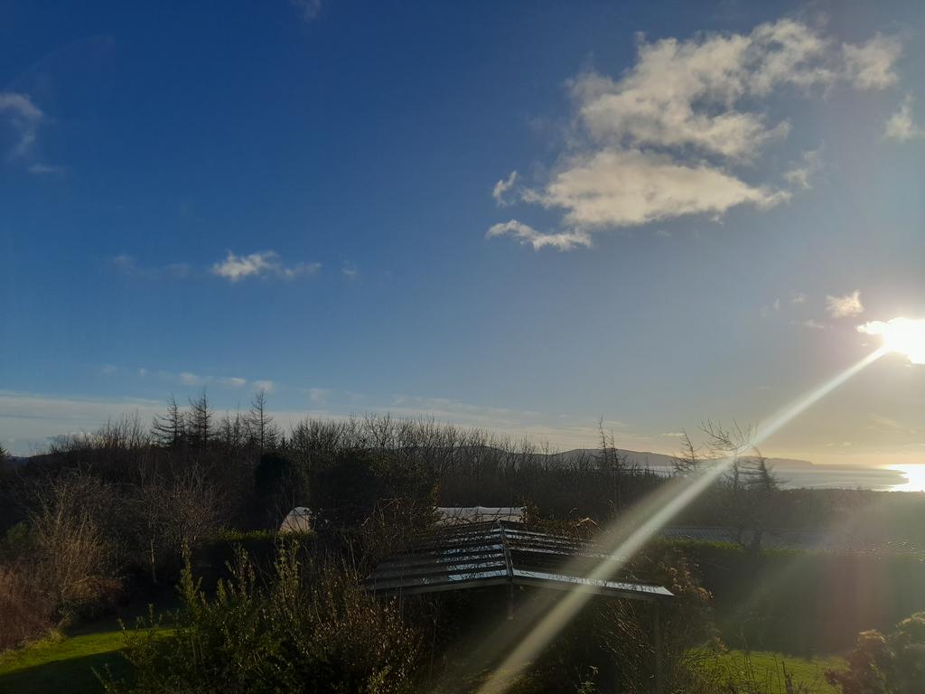 ite wiersema tweet media