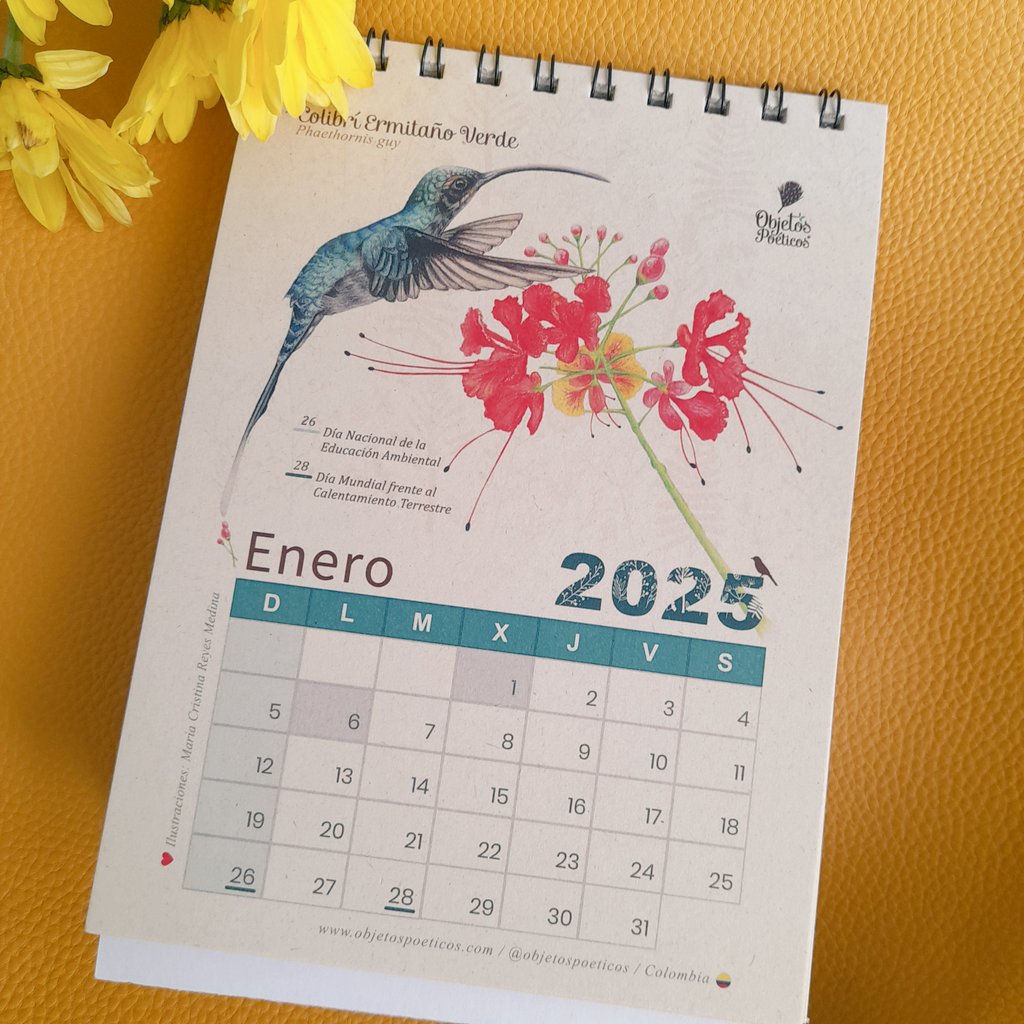 Acompaña este año con #faunacolombiana✨️🦜🐆🐦 ilustrada a mano con lápices de color y fechas ecológicas. #Colibríes #Tángaras #Jaguar y más!

 🎊 3 últimas unidades 🎊✨️

Envío a nivel nacional✈️
Domicilio Cali🛵 #Calendario2025