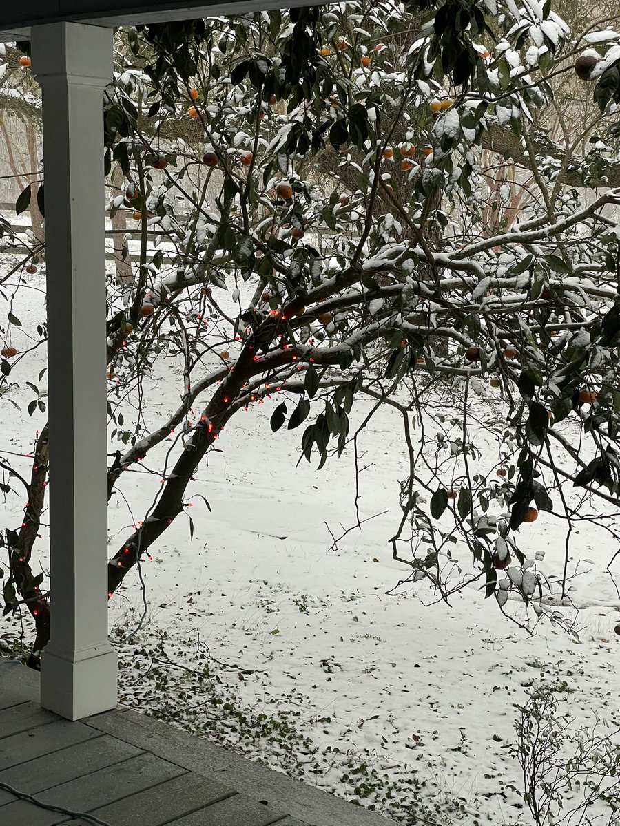 Those who are not from New Orleans/S. Louisiana can’t understand how joyous this epic snowfall is for us. ❄️❄️❄️