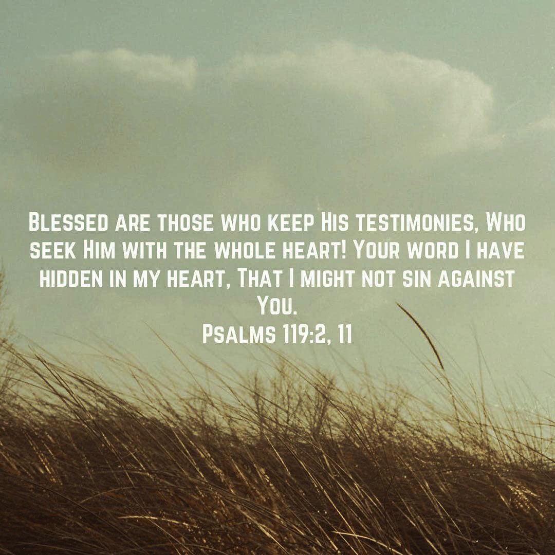 AdamsArk's tweet image. Delight yourself In The Lord! Meditate On These Verses. Keep us “#OLord” I Pray! #God #HolyGhost Glory, and Amen!!!