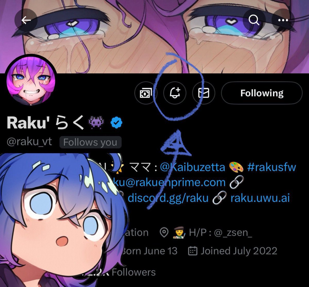 Raku' らく👾 tweet media