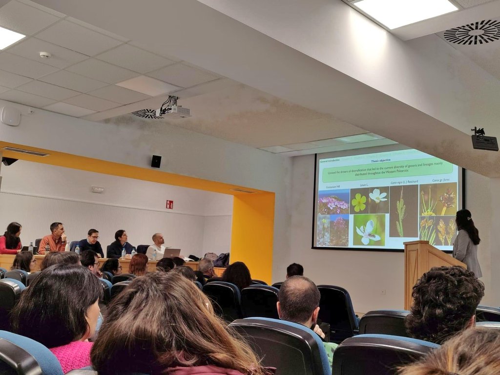Santiago Martín-Bravo (@s_martin_bravo) on Twitter photo It's been an honour to serve as committee member at Ana's <a href="/AnaValdesF/">Ana Valdés-Florido</a> PhD dissertation at <a href="/BiologiaUS/">Biología US</a>. An excellent work about plant diversification in the W #Mediterranean at different taxonomic and evolutionary levels. Thanks to the supervisors and congrats Dr. Valdés-Florido! It's been an honour to serve as committee member at Ana's <a href="/AnaValdesF/">Ana Valdés-Florido</a> PhD dissertation at <a href="/BiologiaUS/">Biología US</a>. An excellent work about plant diversification in the W #Mediterranean at different taxonomic and evolutionary levels. Thanks to the supervisors and congrats Dr. Valdés-Florido!