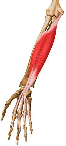 FlexProGrip tweet picture