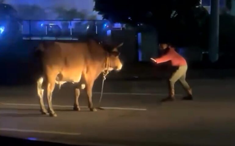 Jacob Canfield tweet media