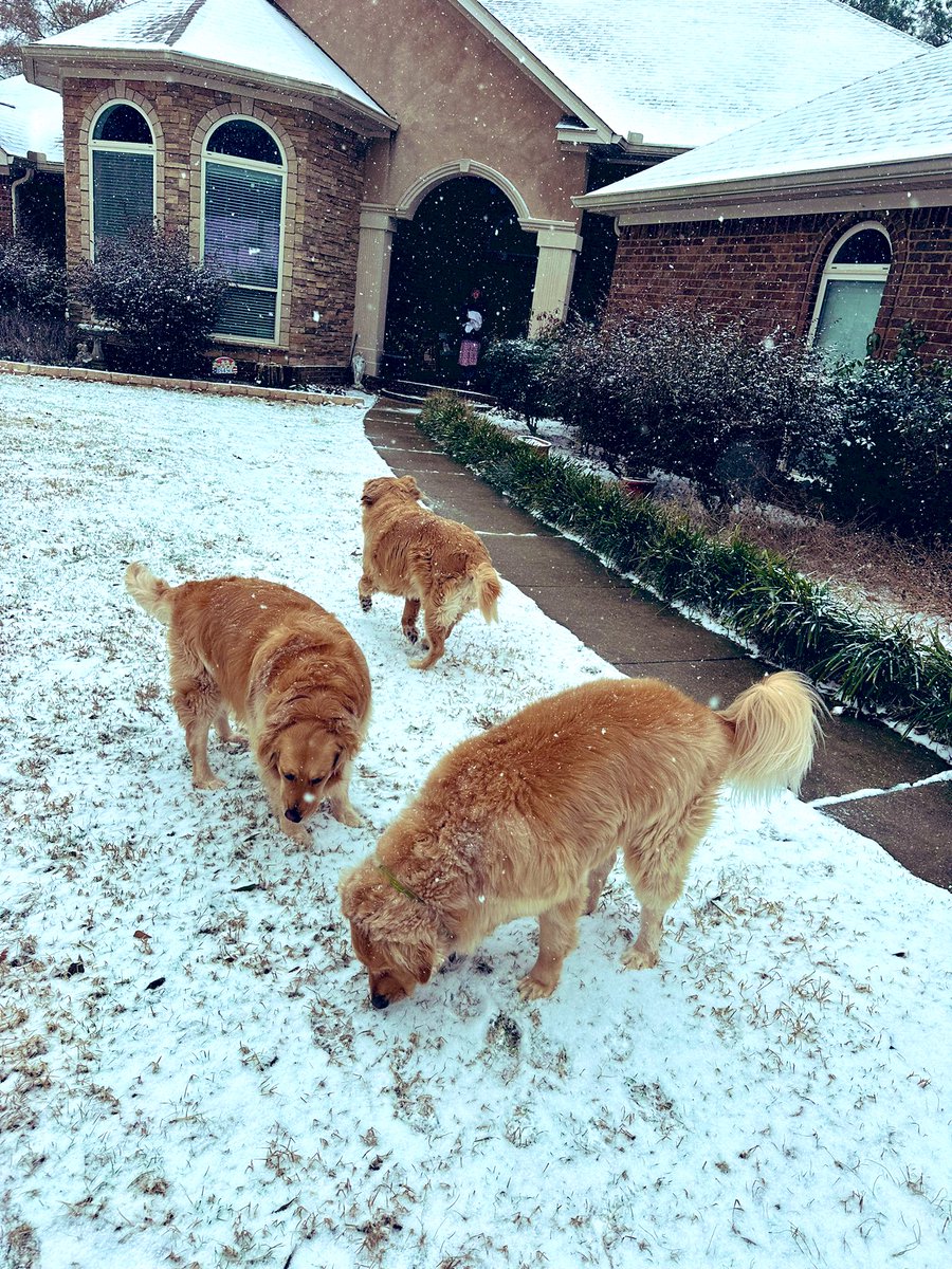 wxfollower's tweet photo. Citronelle Alabama getting in on the white stuff. @waiting2see @spann https://t.co/EfumKugaBb