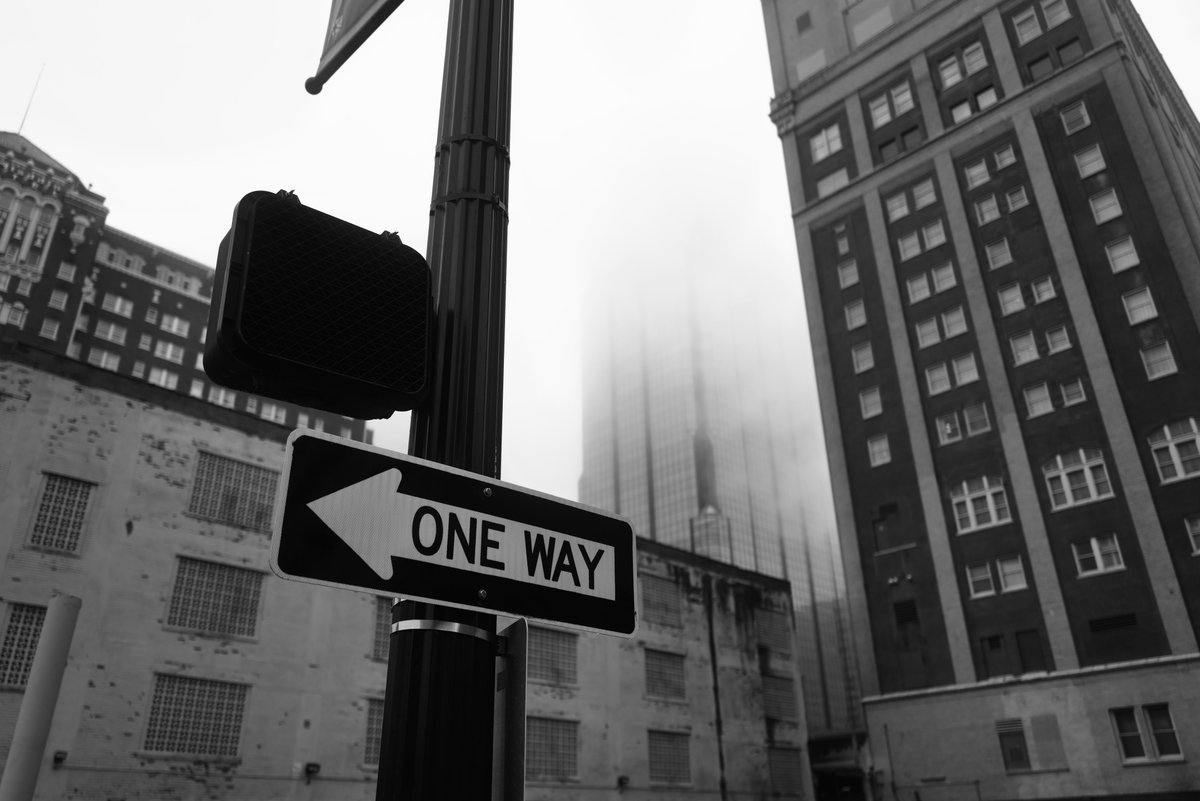 .gio🌿 tweet media