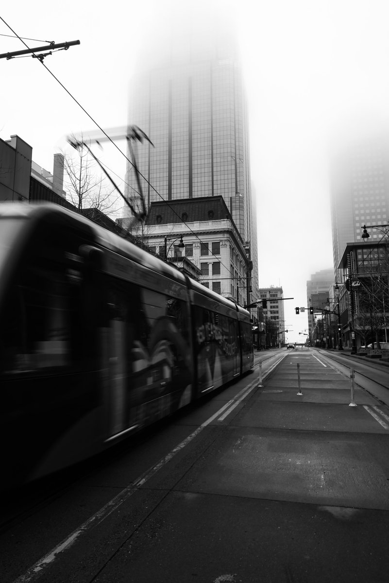 .gio🌿 tweet media