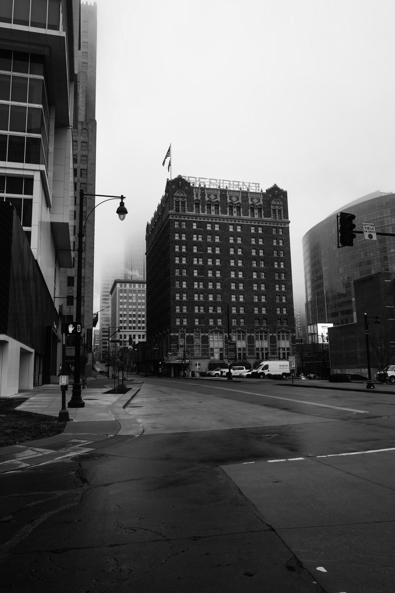 .gio🌿 tweet media