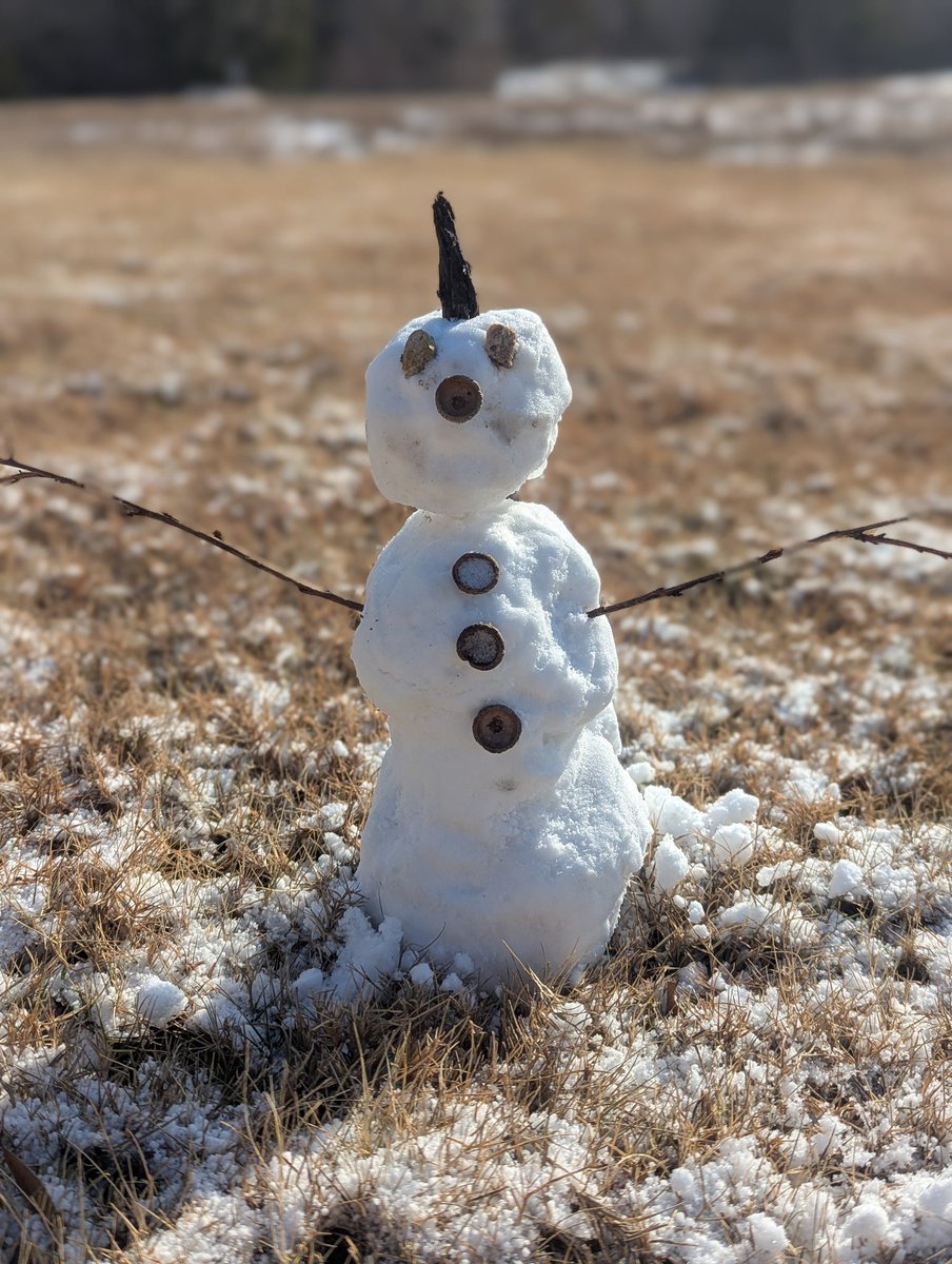 Cmore Weather (Central TX) tweet media