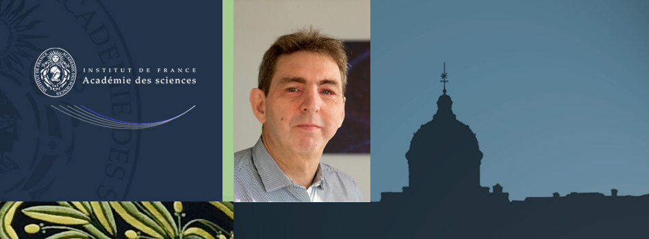 IBENS (@ibens_ens) on Twitter photo 📢Congratulations to Pierre Paoletti, Director of #IBENS, on his election as a member of <a href="/AcadSciences/">Académie des sciences</a>
The reception ceremony for the newly elected members will take place in June 2025, under the dome of the Institut de France.
🔗academie-sciences.prod.aa-testing.tech/sites/default/… 📢Congratulations to Pierre Paoletti, Director of #IBENS, on his election as a member of <a href="/AcadSciences/">Académie des sciences</a>
The reception ceremony for the newly elected members will take place in June 2025, under the dome of the Institut de France.
🔗academie-sciences.prod.aa-testing.tech/sites/default/…