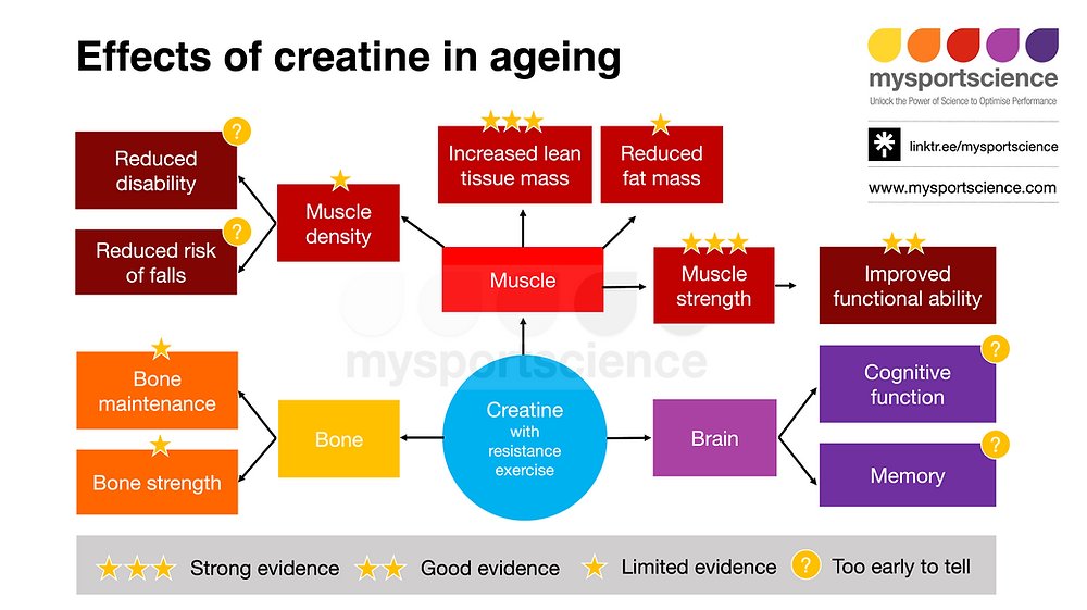 Creatine supplementation and healthy ageing: bit.ly/3zLupNq

This blog outlines the potential role of creatine for combating age-related changes in skeletal muscle and bone health, as well as cognitive function and memory.
