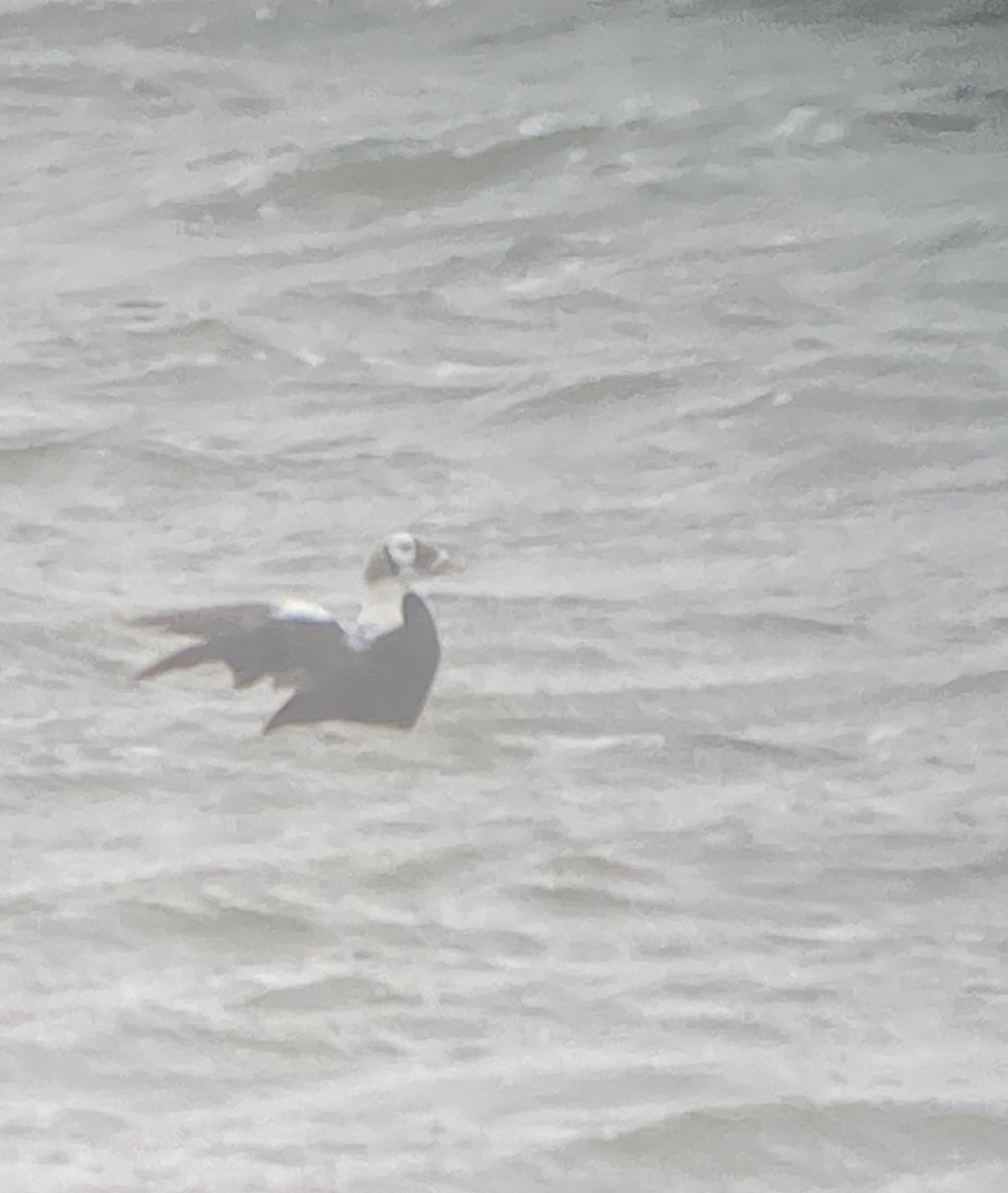 Duncan Dine tweet media