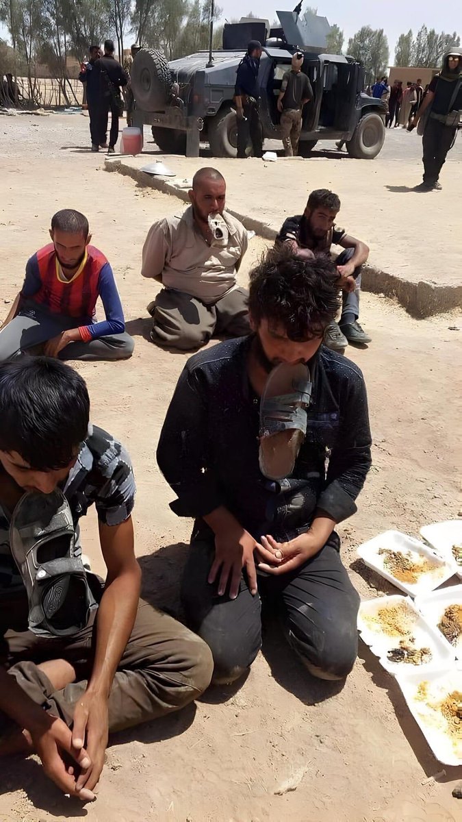 اسـراء فُرات #نخلة_بصرية 🌴🦋 tweet media