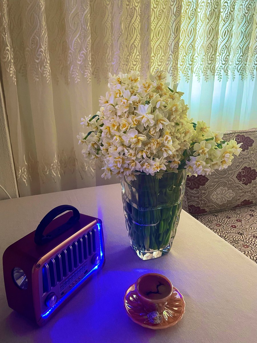 _violet_ (@menekseucar33) on Twitter photo 