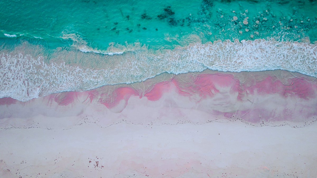silver_airways's tweet photo. Feeling the winter chill? Escape to the warmth of The Bahamas and soak up the sun on pristine beaches. 🌴 Plus, enjoy 20% off flights with promo code ‘THANKYOU20’ and start your tropical adventure! ✈️

➡️ Book by: January 26th at 11:59 PM EST
➡️ Travel between: January 28th - February 28th

Terms apply. Discount available for select fare classes only. Taxes, fees, and carrier charges excluded. 7-day advance purchase required. Book now at https://t.co/PF8PDxwl6V! ✈️

#FlySilverAirways