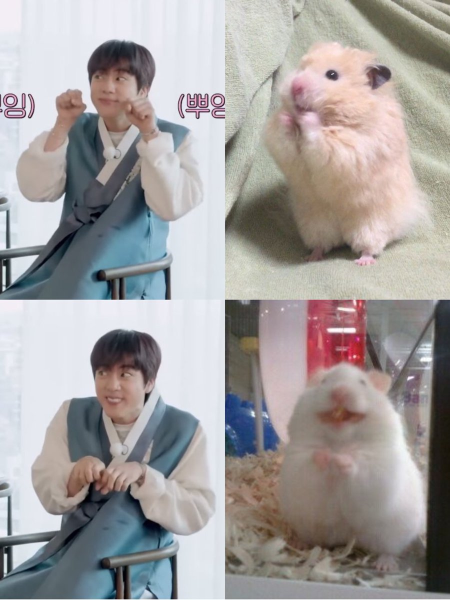 onlyforseokjini's tweet photo. hammie 🐹 https://t.co/R3uGNdZSqB