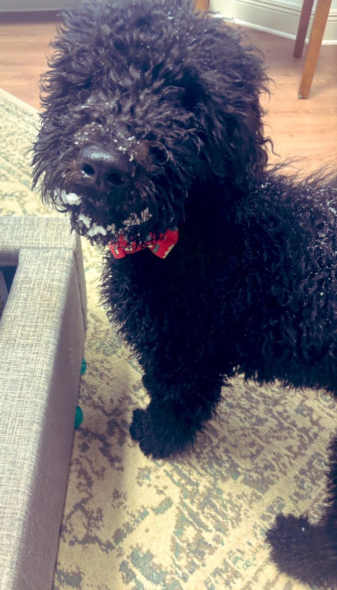 Leah Long tweet media