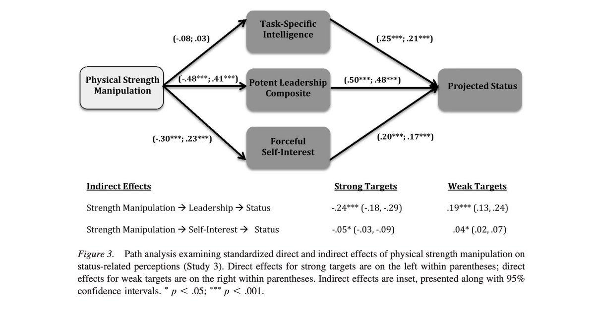 How does MEN's STATUS WORK?

Ppl view physically 💪STRONG MEN💪as better able to:

1) enforce within-group norms (eg punish cheaters)
2) negotiate w other groups

In turn, ppl confer status upon STRONG MEN

BUT aggressive, self-interested strong men? They get no such benefits!!!