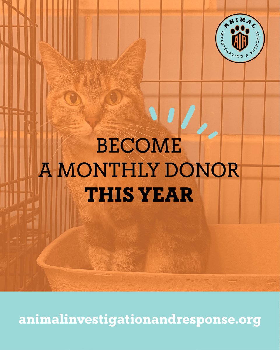 With your monthly gift, you’ll help us remain prepared to respond to urgent calls for help, assist law enforcement, and provide them with the daily care and enrichment they need during custody holds. 👉
…imalinvestigationresponse.ddock.gives/?showBg=