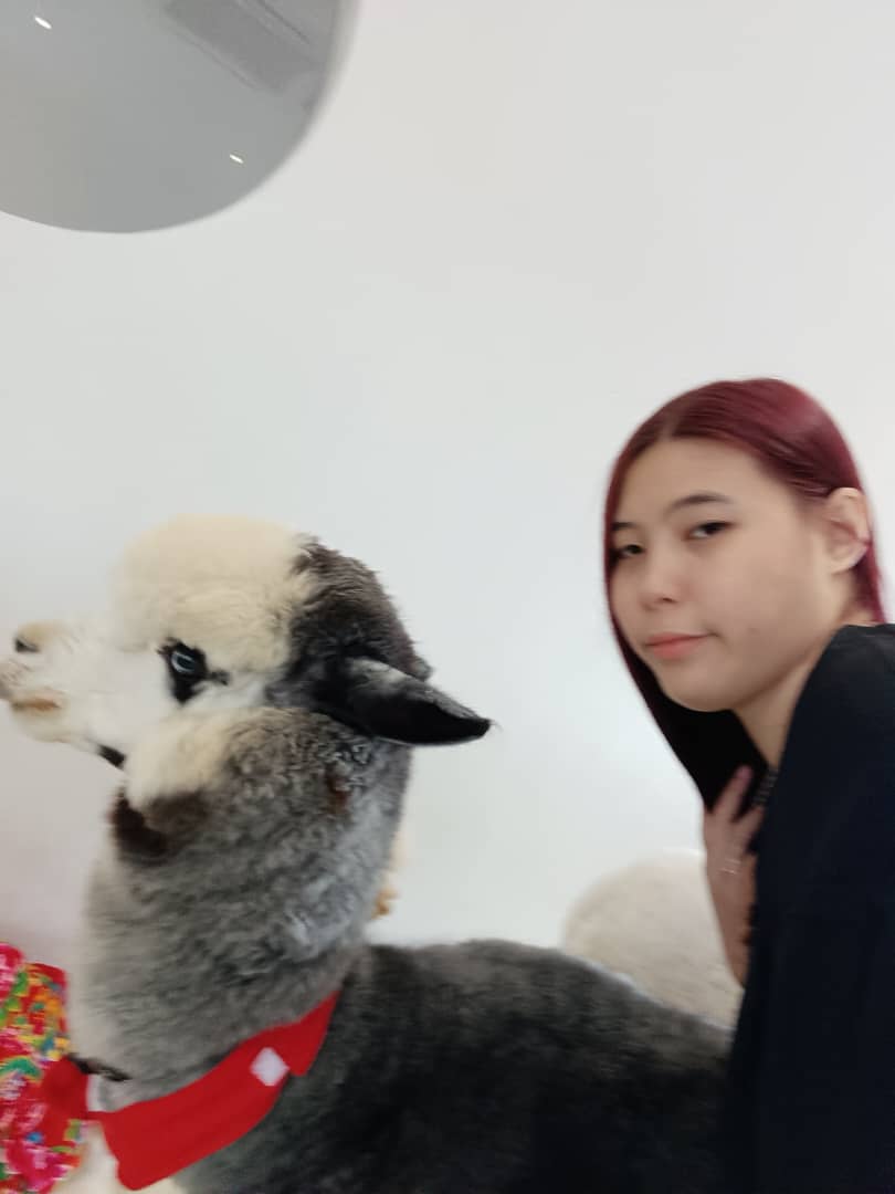 我在kl setapak 
谁要约信息我