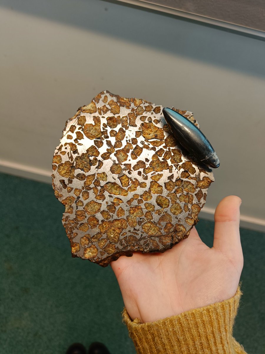 Isabel Queay tweet media