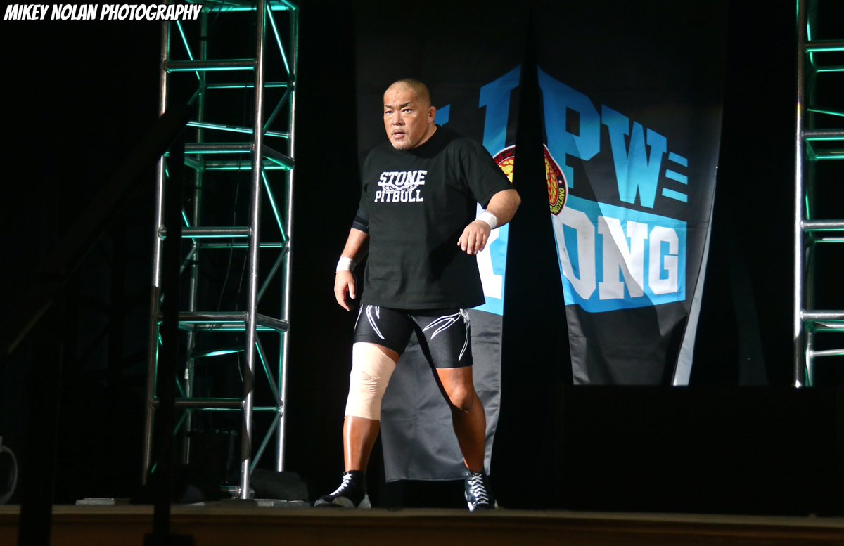 Mikey Nolan tweet media