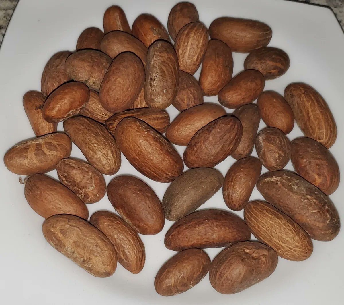 أفضل المكونات التي تقضي على القذف السريع )

ومكونات بسيطة لعلاج انخفاض عدد الحيوانات المنوية. للمعرفة أكثر تابـع الشرح