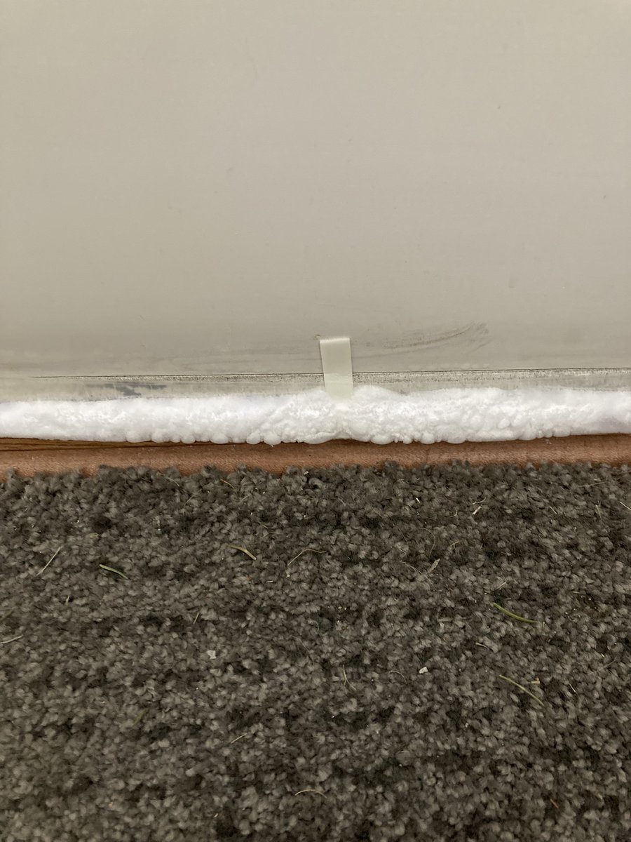 虫嫌いだから玄関ドア下の隙間に塞ぐ用のテープを貼っているんですよ
普段は半透明の普通のテープ
今現在、家の中側までバッキバキに凍ってる😂