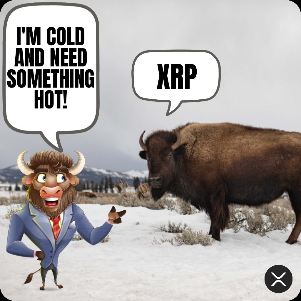 BULLISH $BISON tweet media