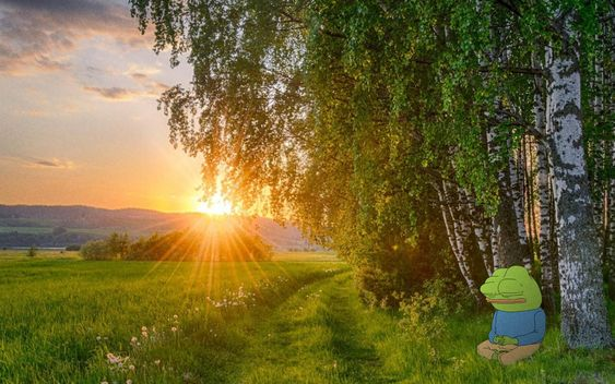 Remember to zoom out lads...

- In 3 mo's: New ATH's and hearty $PROMPT and maybe $KAITO airdrops

- In 3 years: Crypto likely 3x higher

- In 10 years: Crypto likely 10x higher

Go for a long walk. Lift some weights. You are going to make it and everything is going to be okay.