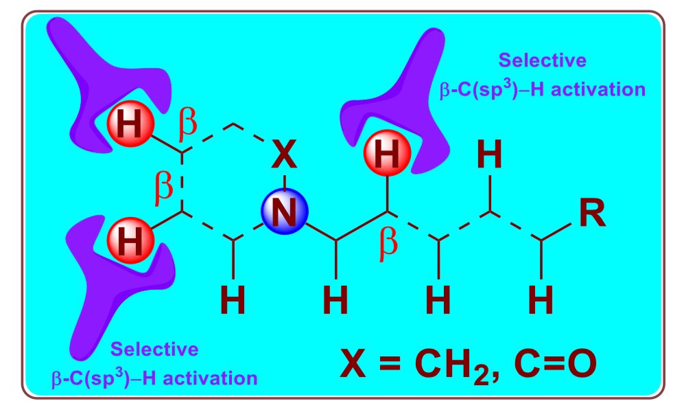 Dr_SSResearch's tweet photo. Check out the recent review on “Regio- and Stereoselective β-C(sp3)‒H Activation/ Functionalization of Saturated Nitrogen Heterocycles, Amines and Amides” in @AdvSynthCatal 
Congratulations to @SANJAYY11298402 @murugeshprasad1 
Check it out here :- https://t.co/s4EaUY4Xbb https://t.co/q1vQav6pti