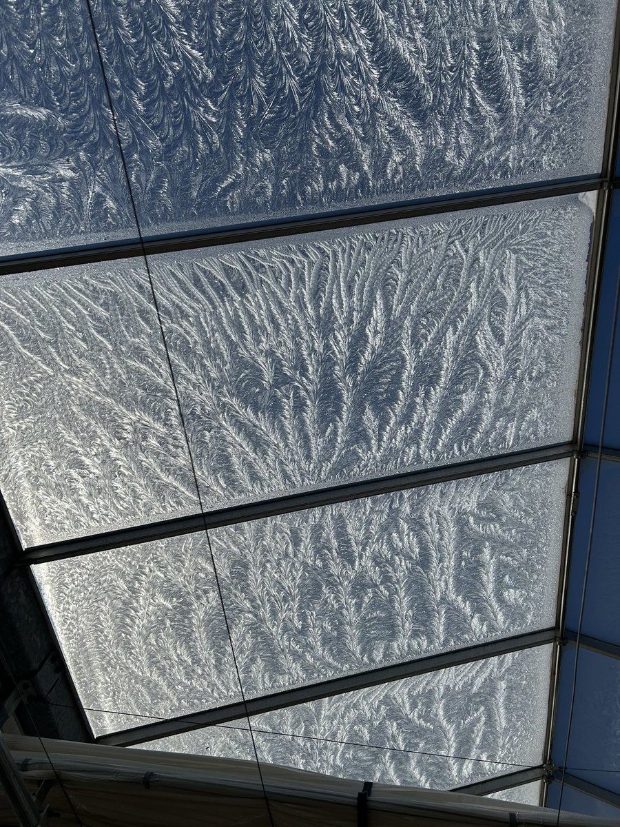 Shannon Baker tweet media