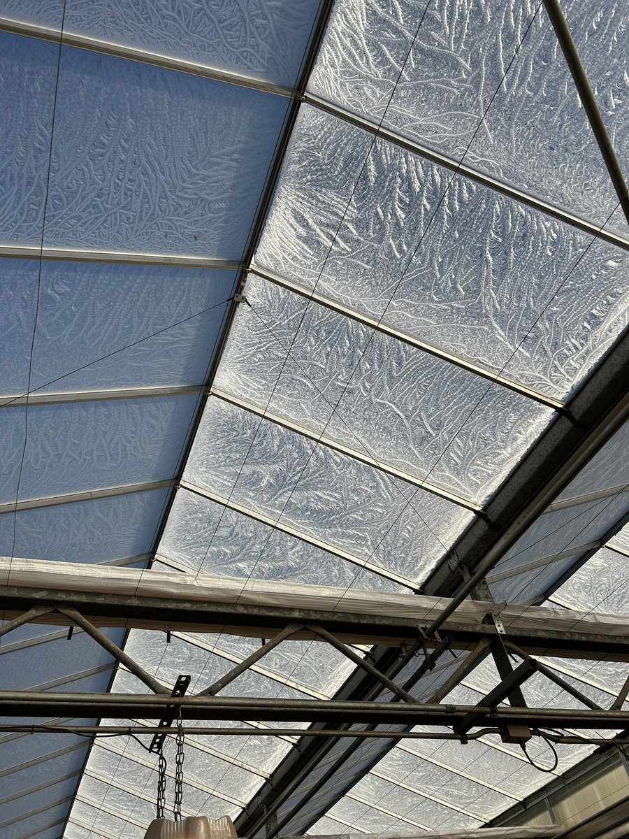 Shannon Baker tweet media