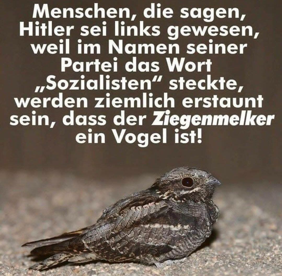 #wirsindmehr #fckafd #AfDVerbotJetzt