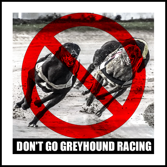 Ban Blood Sports tweet media