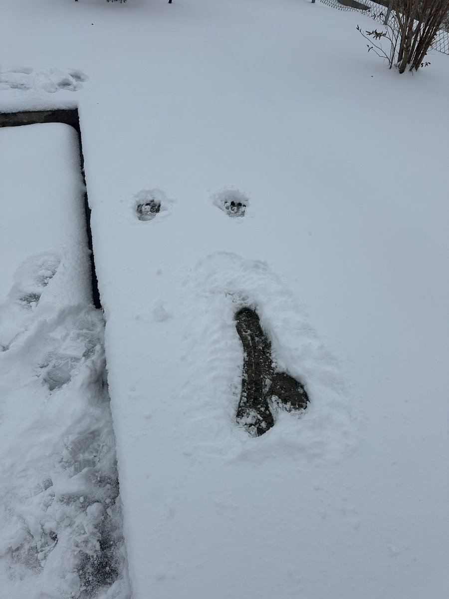 closbrown100's tweet photo. I slipped &amp; fell down ! 
Houston Becareful with The Snow❄️
#snow #houston #fyp https://t.co/adZisetvYb