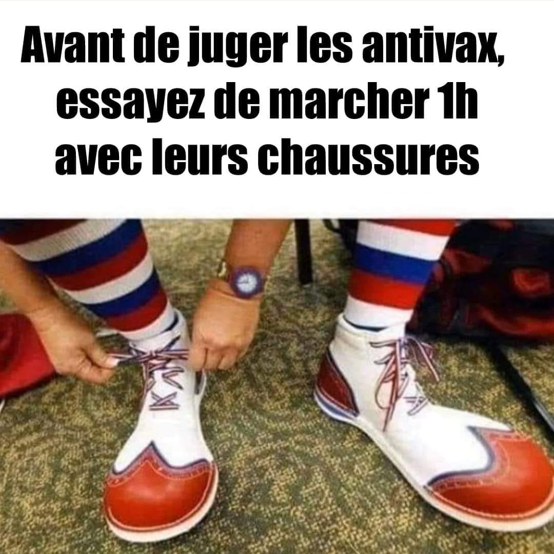 comploplo26's tweet photo. @raoult_didier Et surtout très peu nombreux car il faut être un sacré con pour croire à vos balivernes... Et heureusement dans cette profession les clowns se contentent de vivre à travers twitter, les cagnottes, les cosmétiques ou les bouquins a pigeons https://t.co/ExG4MBTBaB