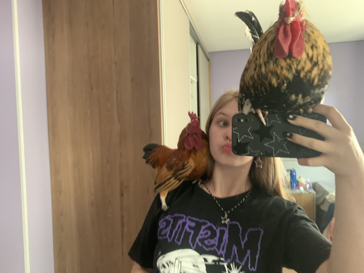 erika tweet media