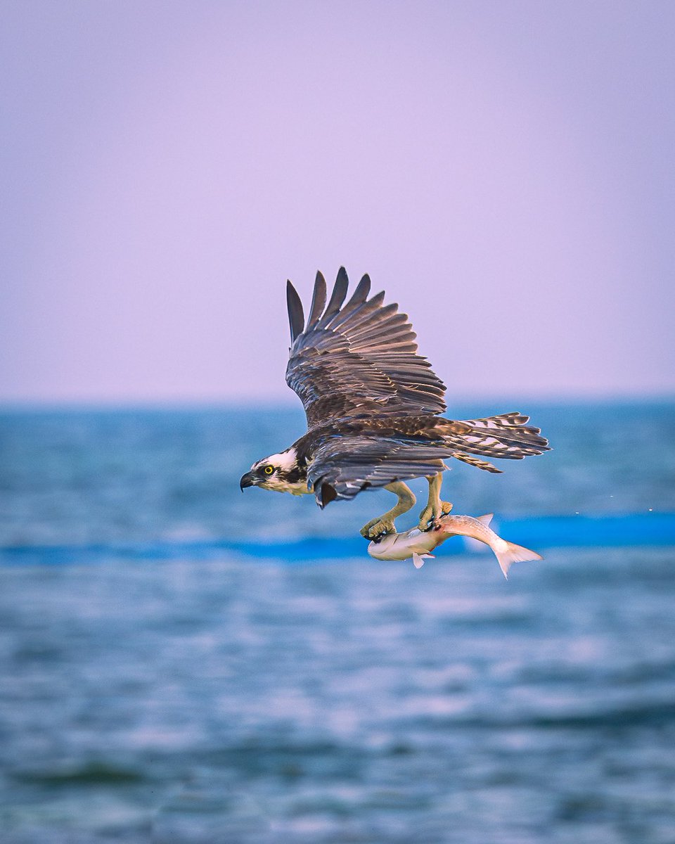 Alex G Perez tweet media